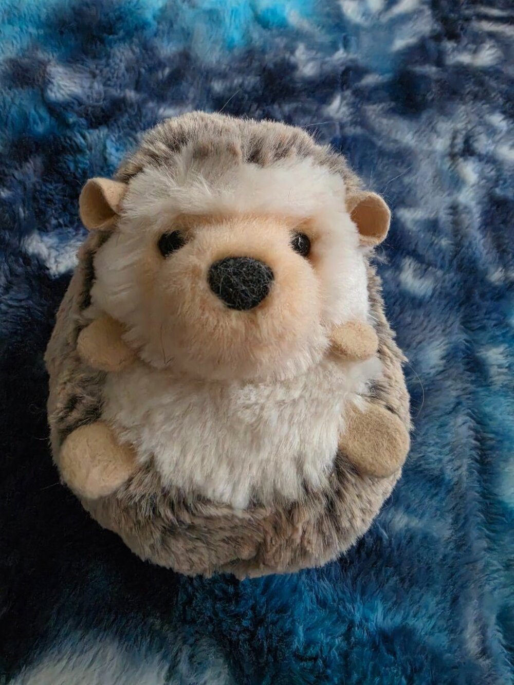 Super Soft Douglas hedgehog plush